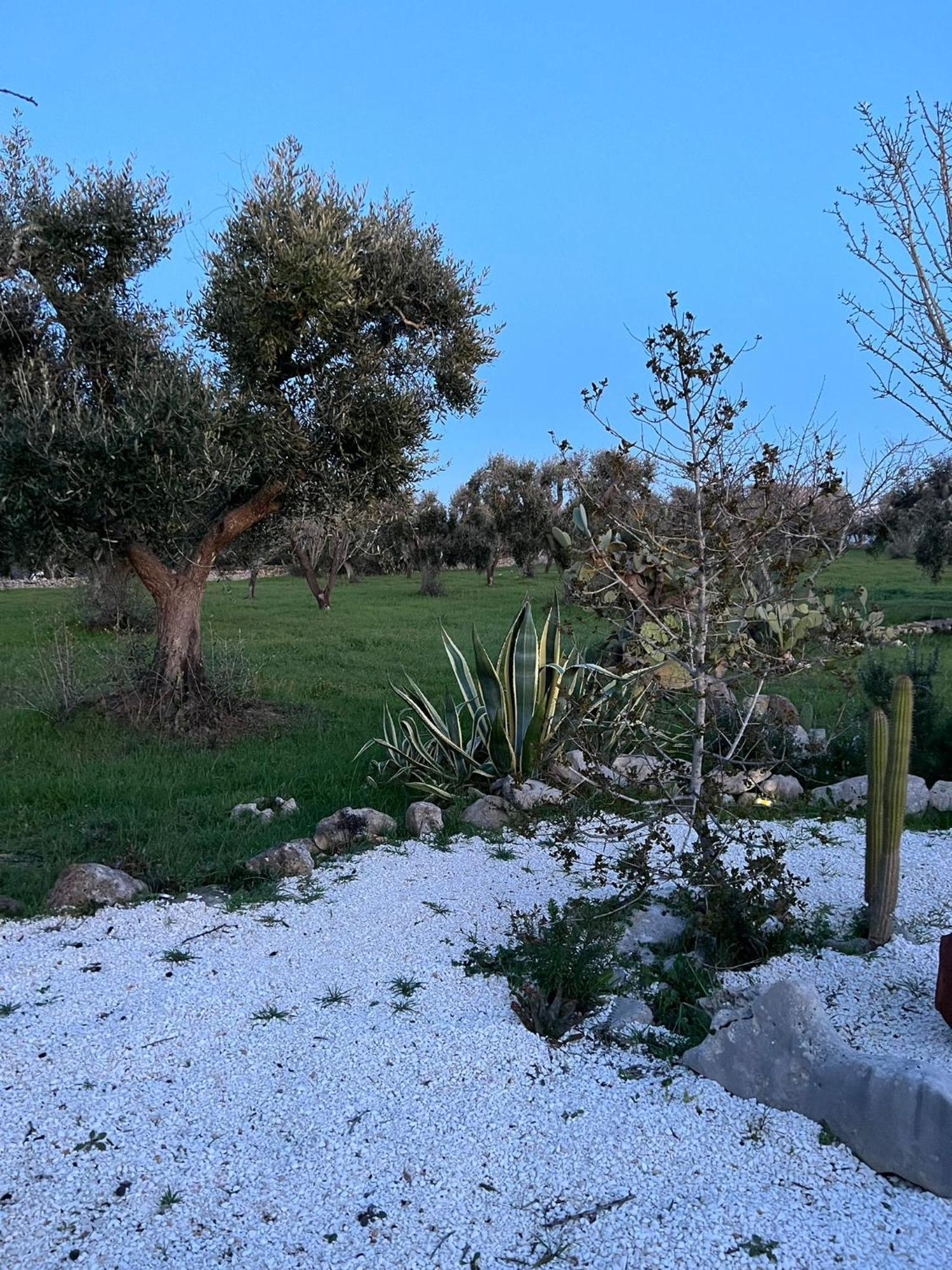 Villa Trullo Oriale Ostuni Esterno foto